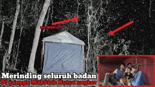 Camping di guyur hujan deras merinding melihat makhluk di hutan angker menampakkan sosok nya