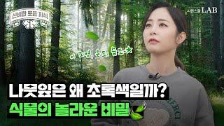 식물이 초록색인 이유? 토플에서 이 2개만 알면 됨! 엽록소 vs 안토시아닌(Chlorophyll vs Anthocyanin) | 제니 신비한 토플 배경지식 22화