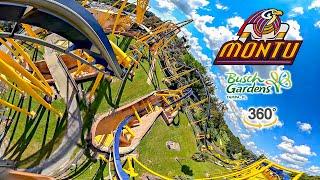 VR 360 Montu Roller Coaster Front Row On Ride POV Busch Gardens Tampa 2024 09 19