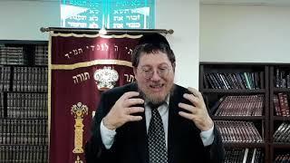 REACHING beyond your LIMITS the TORAH WAY  with Rabbi Faivish Mordechai Dalfin Part 1