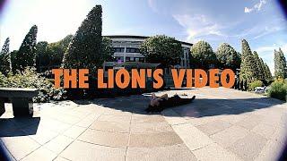 The Lion's Video