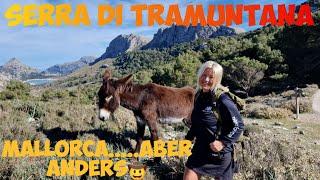  Mallorca Urlaub 2023Wandern in der Serra di Tramuntana mit besonderen Begegnungen der schönen Art