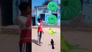 Furakani Rotating Wheel to koyal, Tota, Owl, pigeon funny magic VFX #short #viral #funny #shortsfeed