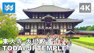 [4K] Nara Park, Japan - Todaiji Temple Daibutsuden (GIANT BUDDHA) Walking Tour & Travel Guide 