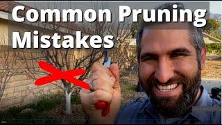 AVOID These 7 Common Tree Pruning Mistakes! | Winter Prune Your Fruit Trees With Confidence