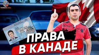 Права в Канаде — получение канадских водительских прав