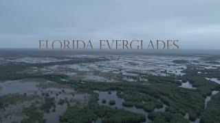 Everglades | Multi-Species  Fly Fishing in Southwest Florida