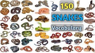 Snakes Vocabulary ll 150 Snakes Name In English With Pictures ll English with Biswajit ll Snake name