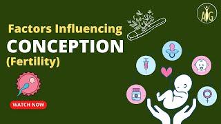 Maximizing Your Fertility: Understanding the Factors that Influence Conception I AYG Academy