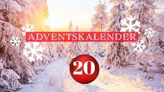 Die Schneeflocke - Symbol für den Winter Tichys Einblick Adventskalender 20. Dezember