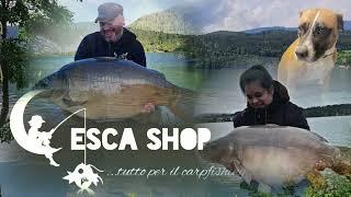 Tour per il nostro negozio, articoli per carpfishing