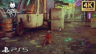 STRAY Full Gameplay All Chapters (PS5 4K ULTRA HD)