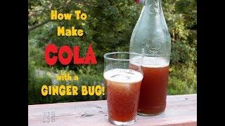 Homemade Cola ~ no weird ingredients, all natural fermented with ginger bug