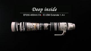 EF200-400mm f/4L IS USM Extender 1.4×"Deep inside" (CanonOfficial)