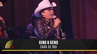 Gino & Geno - Cara De Boi - Ao Vivo