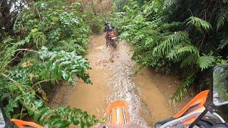 Taupo Kinleith Adventure Ride with Sean Clarke