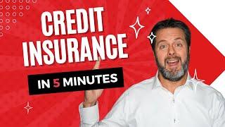 What is Trade Credit Insurance?  | Credit Insurance explained in 5 minutes