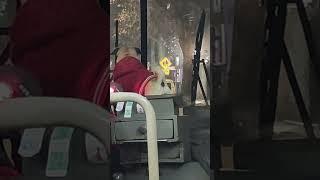 Precious Dog Accompanies a Bus Driver