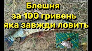 Блешня яка завжди ловить. Секрет успішної рибалки для осені літа та весни