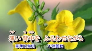01-031   花も嵐も*** 山本譲二 音圓 950111  金嗓 60154（台語 : 疼你若生命)