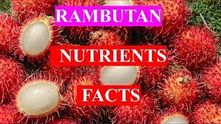 RAMBUTAN FRUIT - HEALTH BENEFITS AND NUTRIENTS FACTS