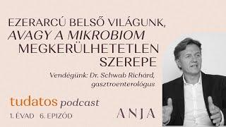 Ezerarcú belső világunk, avagy a mikrobiom megkerülhetetlen szerepe - Dr. Schwab Richárd