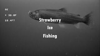 Strawberry Ice Fishing