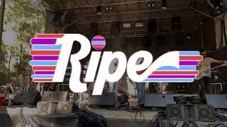 Ripe, FULL LIVE SET, Suwannee Hulaween, 10-27-19