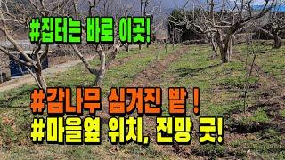 [매물 750] 감나무심겨진, 전원주택, 농막부지 최고의 위치. 칠곡군 석적읍 도개온천인근. 토지 접근성, 전망나오는 땅 (칠곡 부동산)