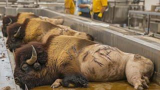 Millions Of Bison, Kangaroos And Crocodiles Are Processed This Way - Processing Factory