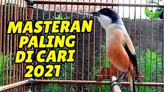 MASTERAN CENDET 2021 FULL VARIASI | MASTERAN CENDET TERBAIK UNTUK BURUNG KESAYANGAN