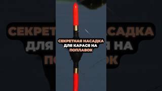 СЕКРЕТНАЯ насадка для ловли  КАРАСЯ НА ПОПЛАВОК #рыбалка #рыба #карась #насадкадлякарася