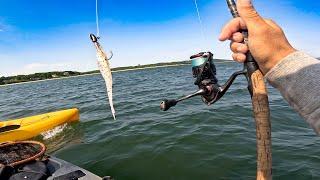 2.5 Hour UNCUT Zoom Fluke Vs. Gulp! Fishing In Long Island Sound (Match The Hatch)