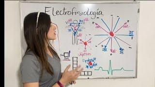 EKG básico/derivaciones - sistema hexaxial de Bailey, triangulo de Einthoven, Wilson, eje eléctrico