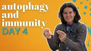 Autophagy And Your Immune System