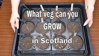 What Vegetables to Grow in Scotland   / MoggyBoxCraft