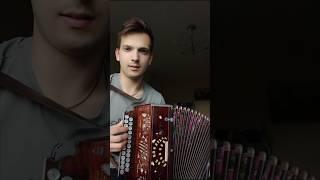 Приснится же такое #гармонь #частушка #песниподгармонь #матаня #наигрыши