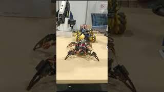 Robotic Spider! Let's learn coding, you can code it to design the movement you like. 