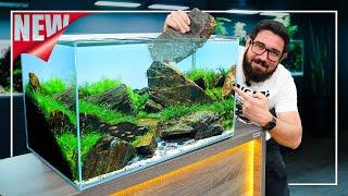 Exploring SENSEI STONE: A New Hardscape MATERIAL for Aquariums