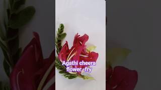 #howtoeat #vegetable humming bird flower