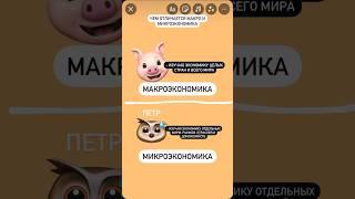 Макроэкономика и микроэкономика #обществознание #обществознаниеегэ #обществознаниеогэ #9класс #огэ