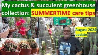 SUMMERTIME CACTUS & SUCCULENT PLANT CARE TIPS - an August update from my #cactus #cacti #greenhouse