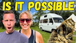 HOW TO Van Life With a Cat