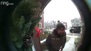 SQUIRREL JUMPS ON UPS DRIVER