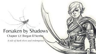 Forsaken by Shadows 12: Bregan D'Aerthe