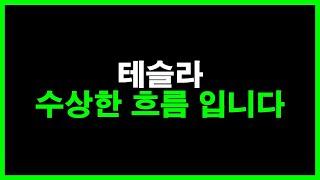 테슬라 수상한 흐름 입니다