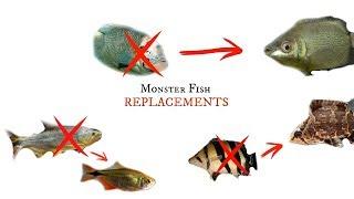 Monster Fish ALTERNATIVES