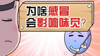 一感冒就没有胃口？难道味觉真的失灵了？