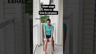 Cat cow - chair yoga 🪑#yoga #shorts