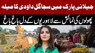 Flower Festival | Annual Chrysanthemum, Gul e Dawoodi Exhibition in Race Course park Lahore